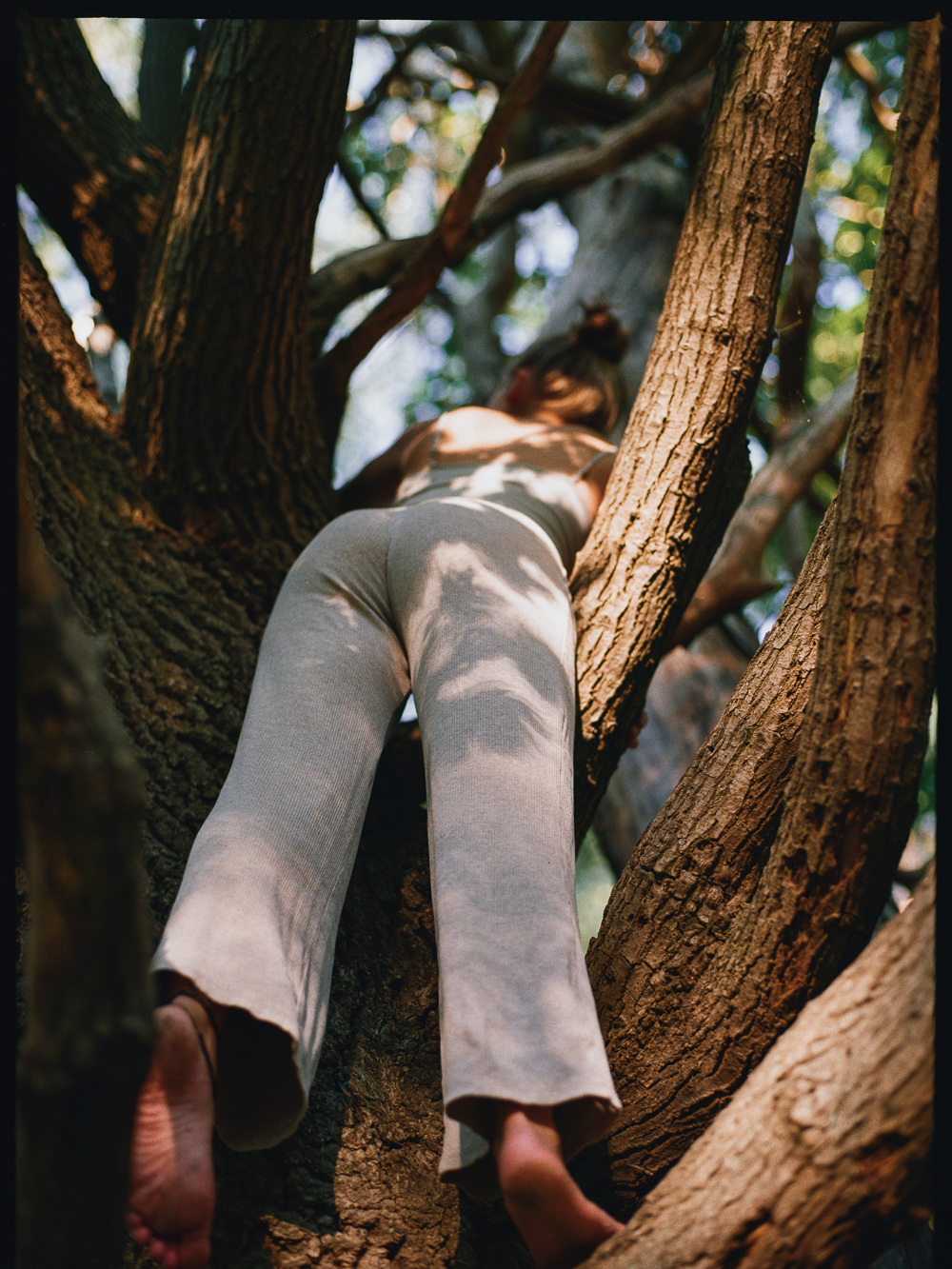 climbing a tree