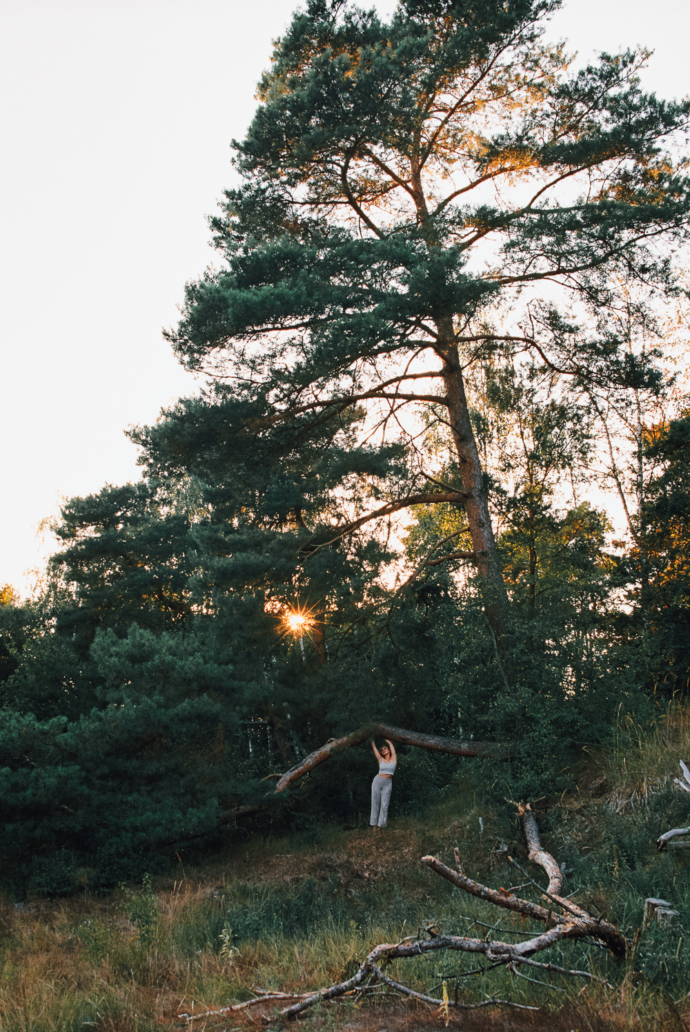 Hannah, in the forest at last light
